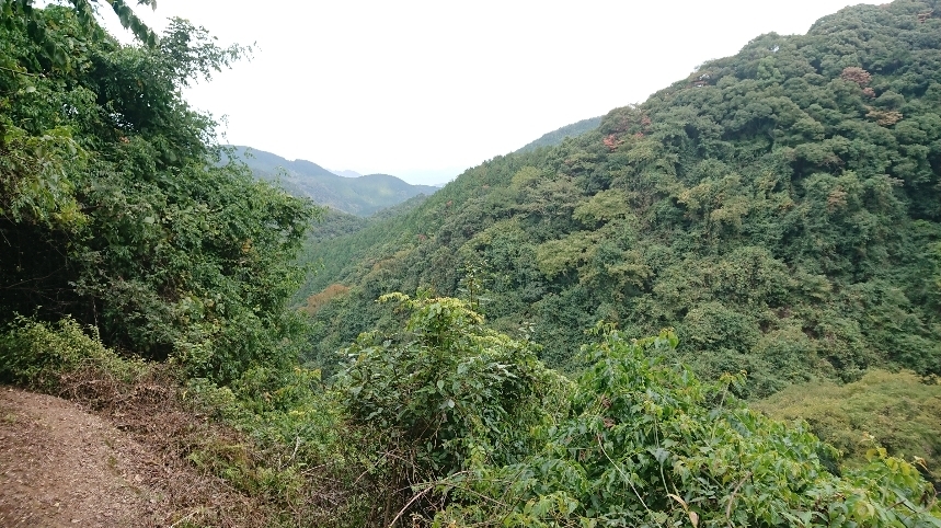 運動不足解消に山へ化石調査に行ってきました Natural History 化石のはなし