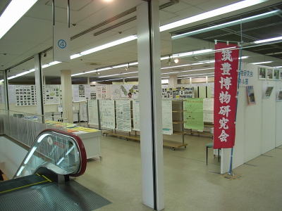 筑豊博物展に行ってきました Natural History 化石のはなし